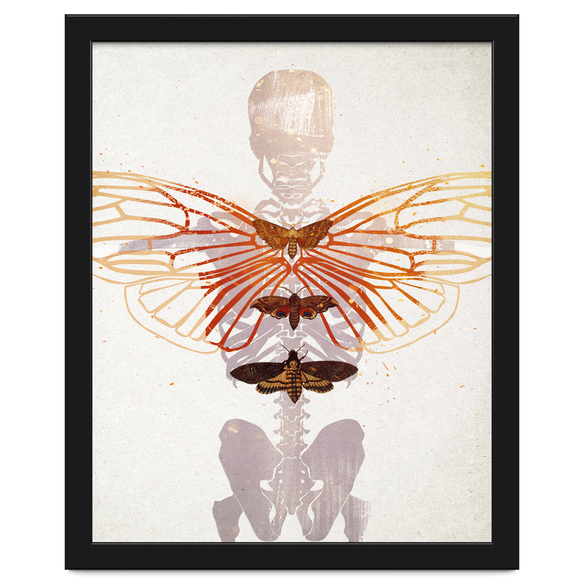 Ikarus - Like a Moth to the Flame