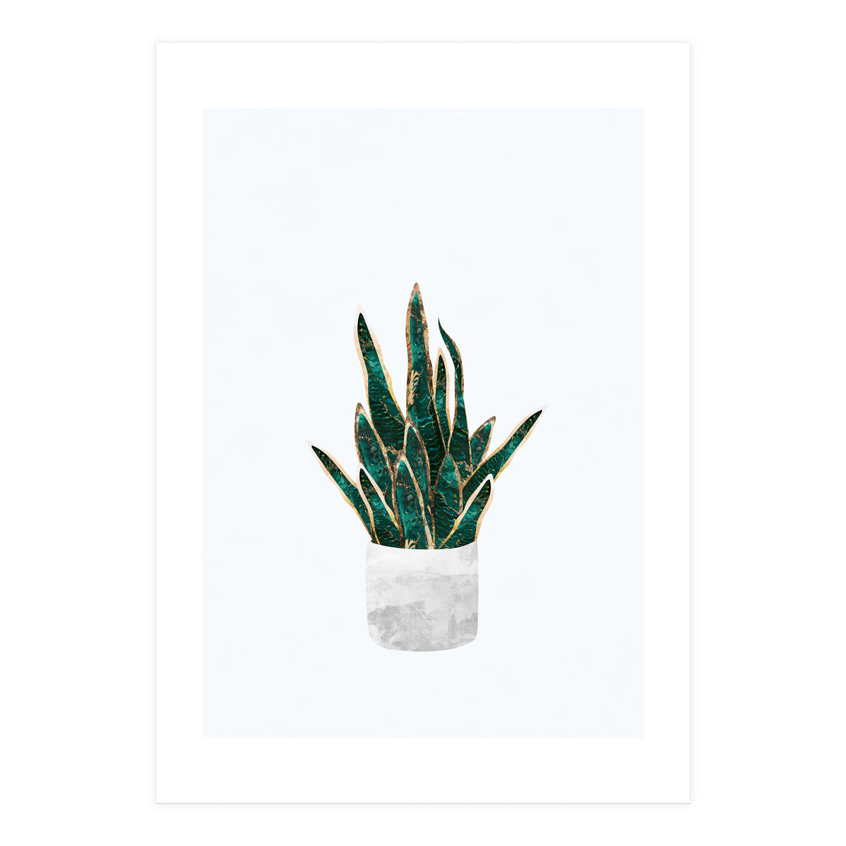 Snake Plant gold and green (Print Only)