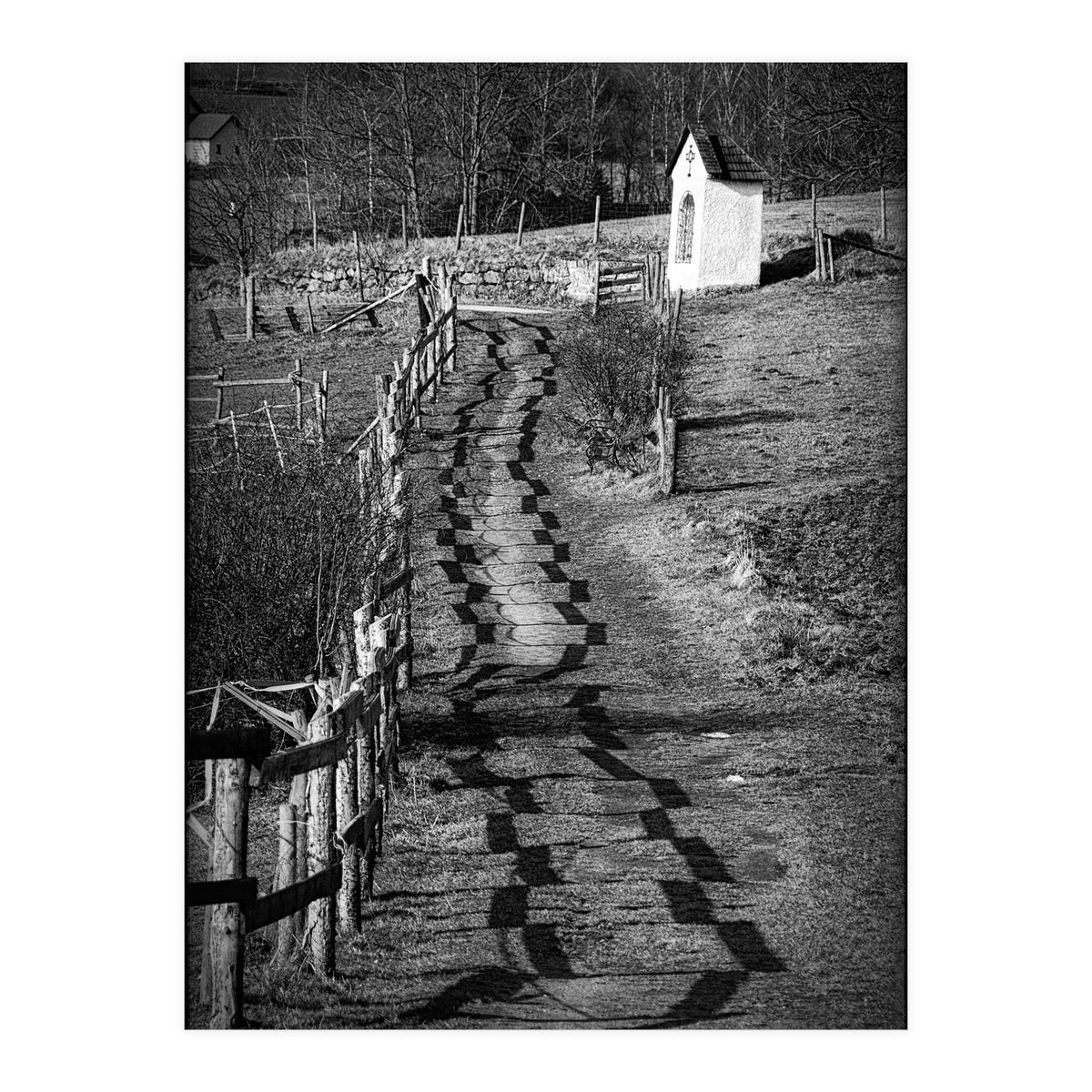 Forestry path (Print Only)