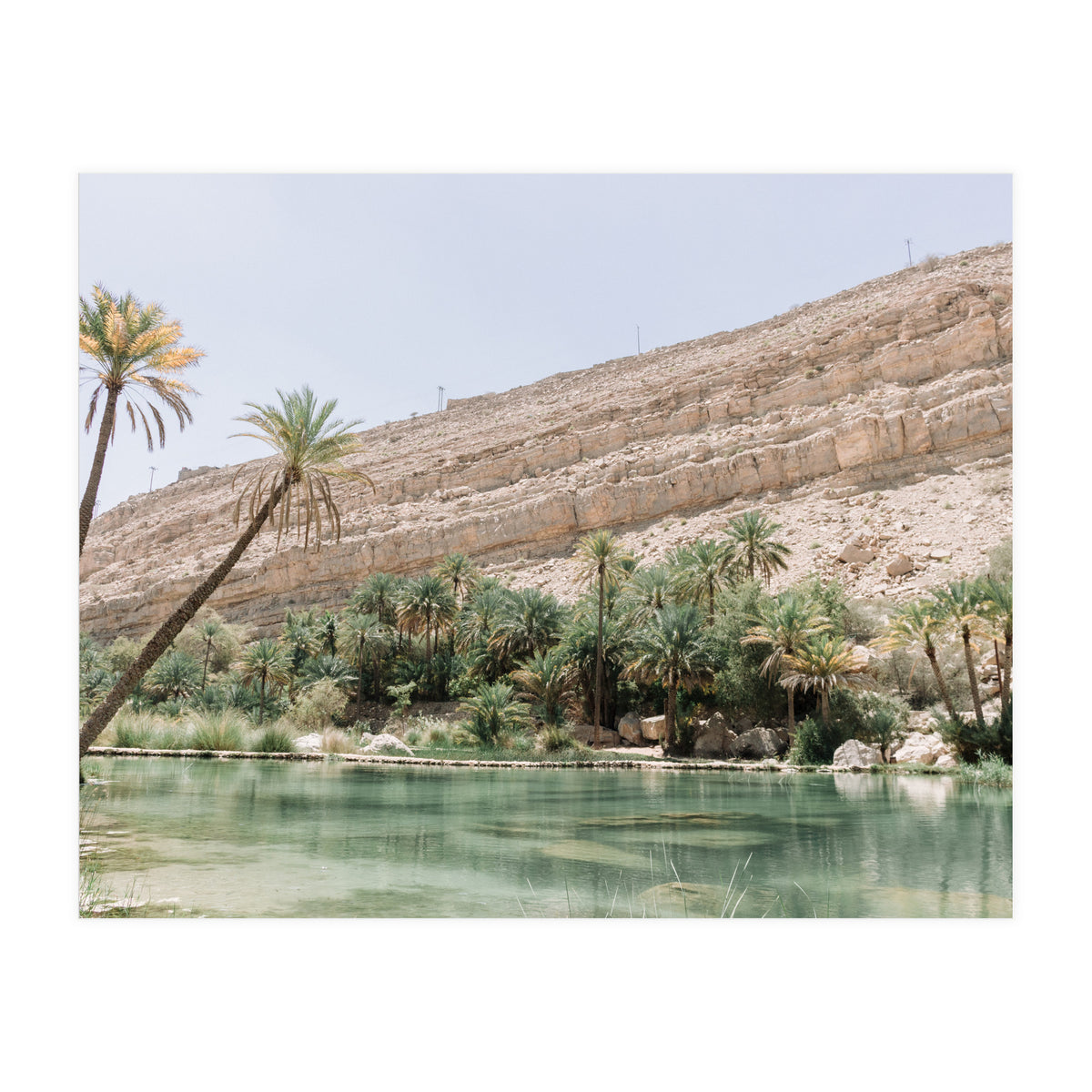 Tropical Oasis (Print Only)