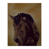 Astonishment (Print Only) thumbnail