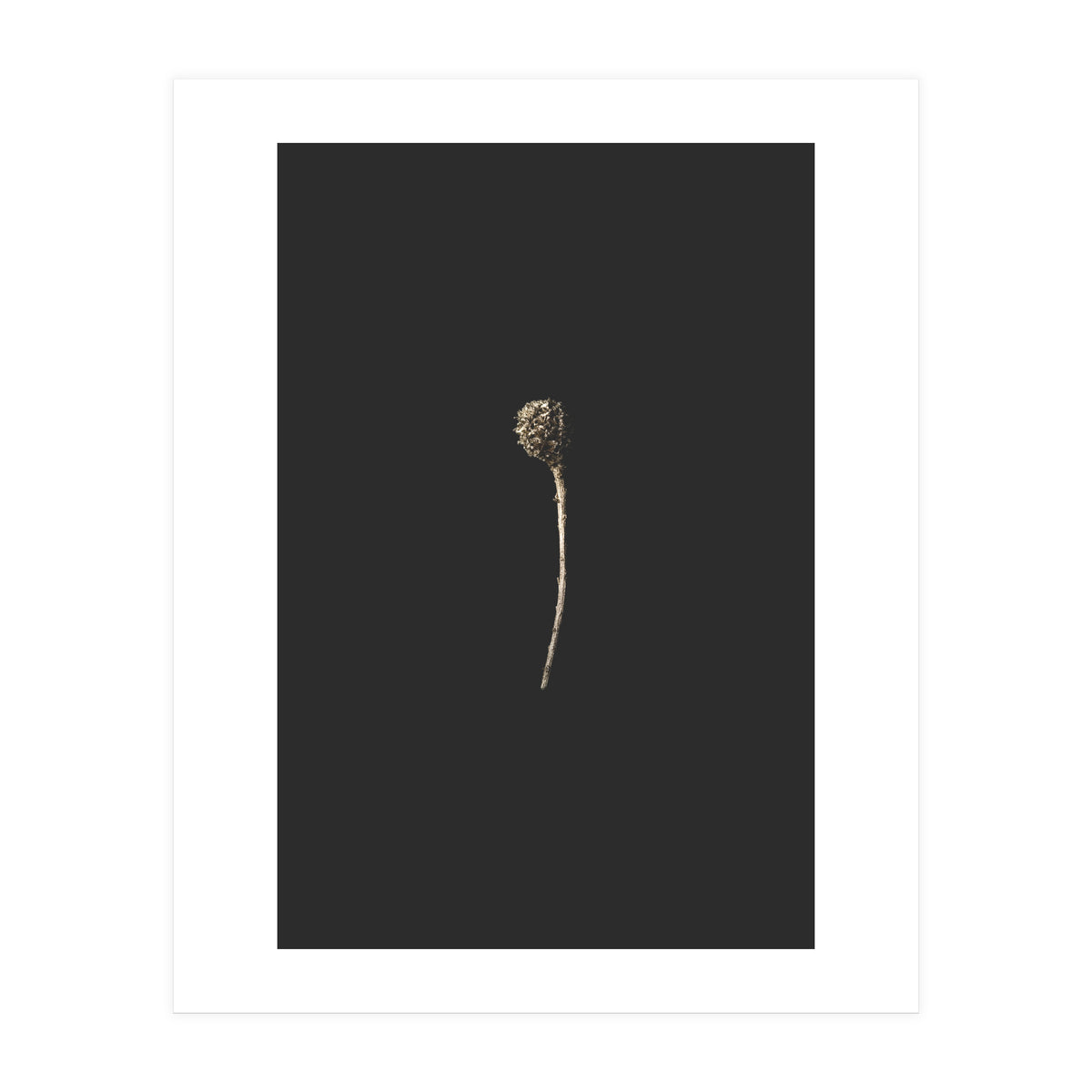 Simple Golden Botanical (Print Only)