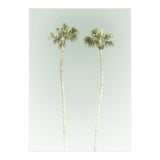 Vintage Palm Trees  (Print Only) thumbnail