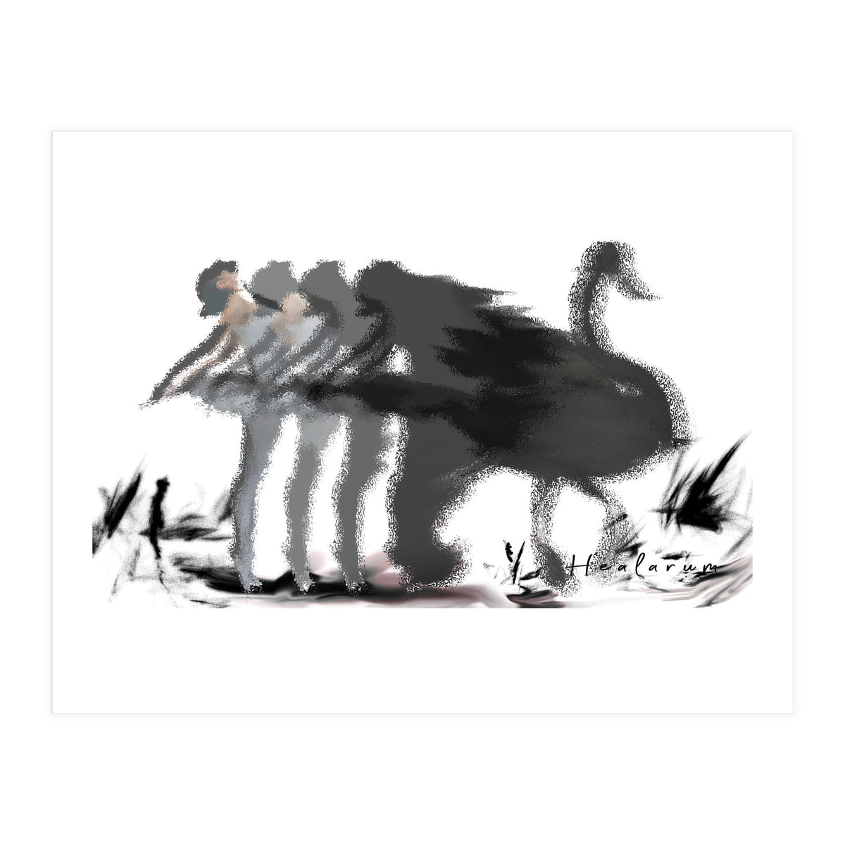 The Black Swan (Print Only)