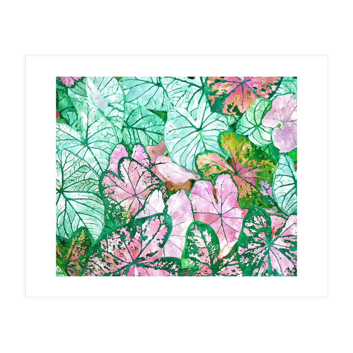 Rain & Nature (Print Only)