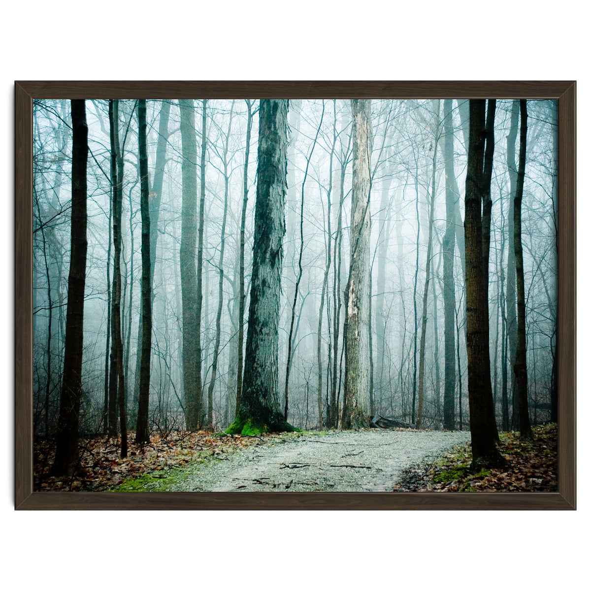 Gather Up Your Dreams