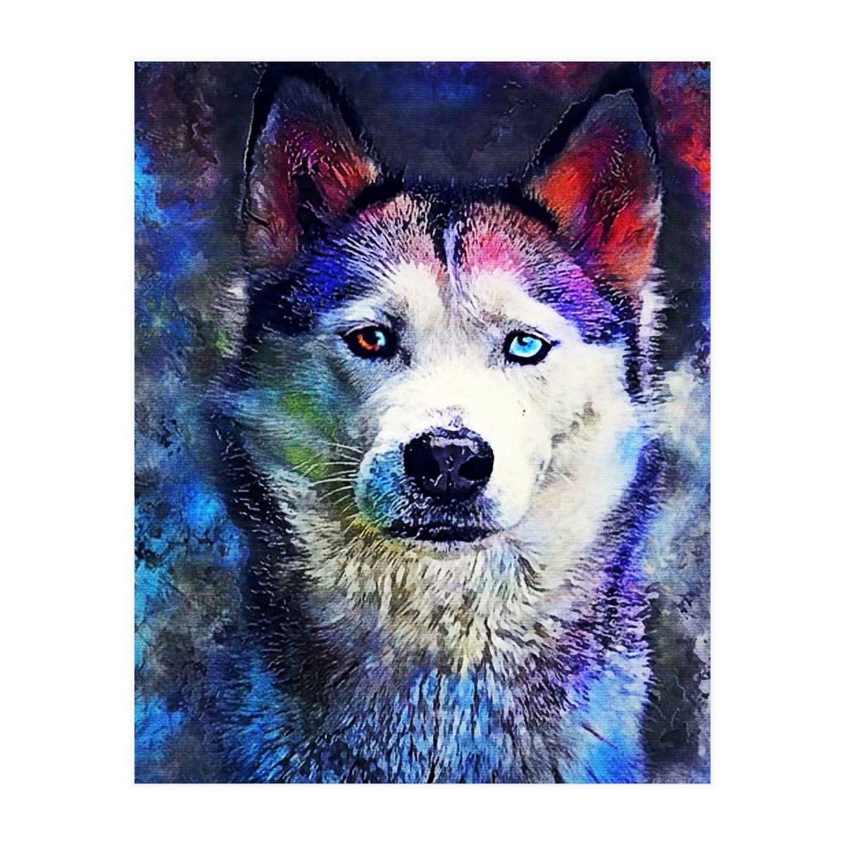 Dog Husky (Print Only)