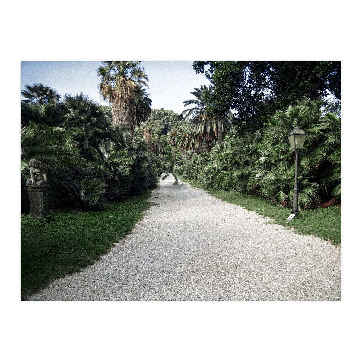 Fuckin' Fossil (Print Only)