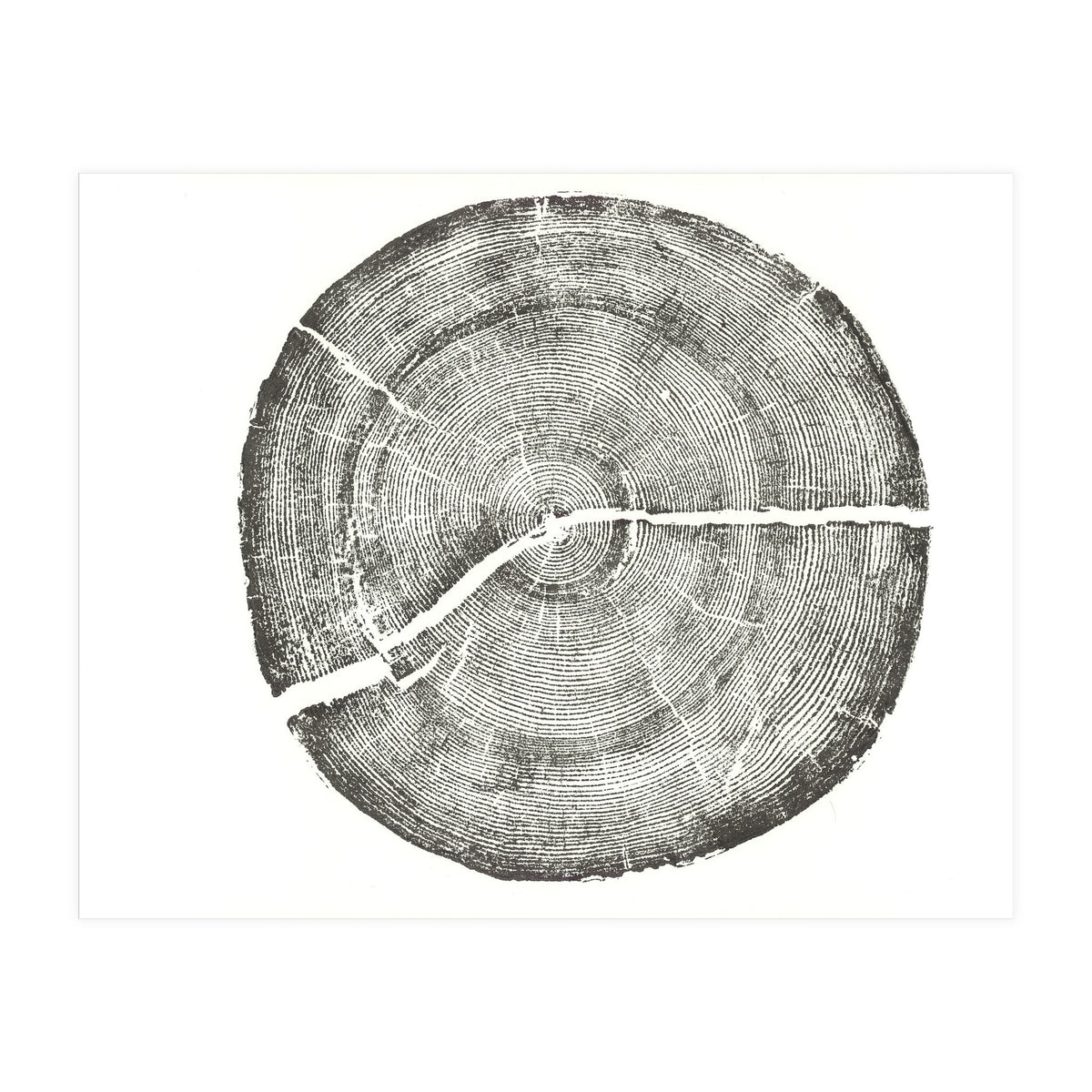 Rock Canyon, Tree Ring Print, Woodblock (Print Only)