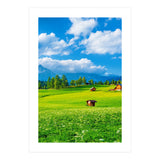 Nature (Print Only) thumbnail