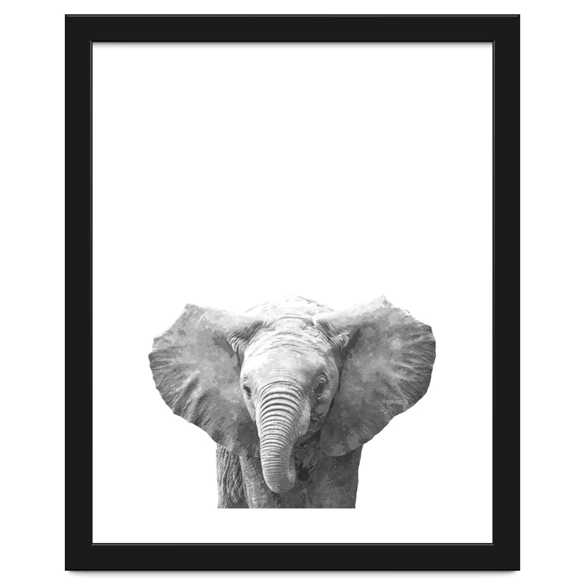 Black and White Baby Elephant