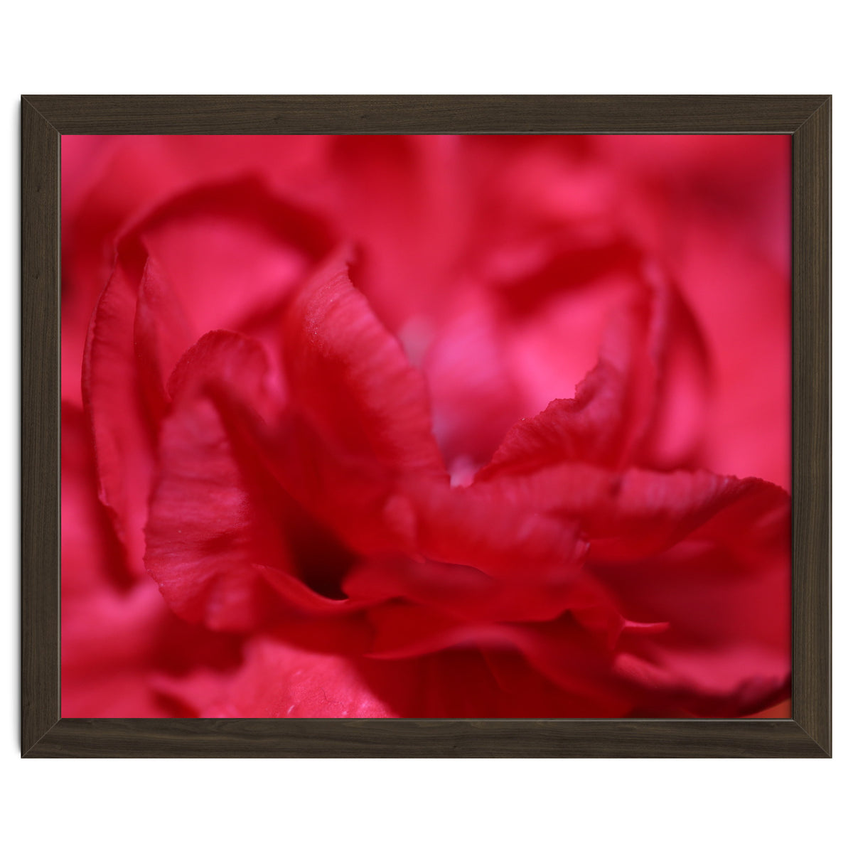 Red Peony