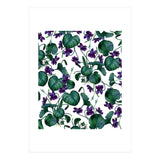 Violets (Print Only) thumbnail