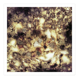 Demolition (Print Only) thumbnail