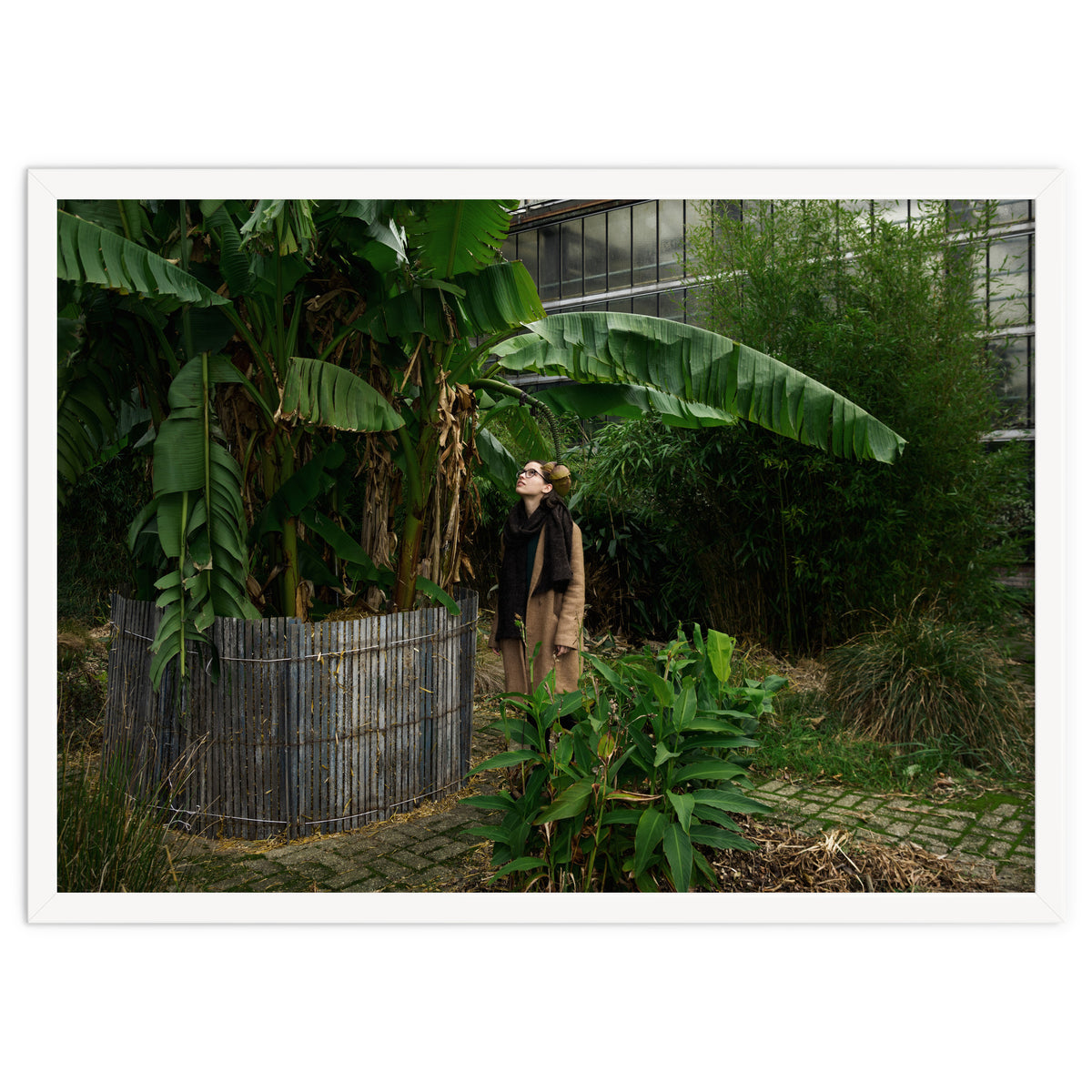 Transition from Summer to Winter