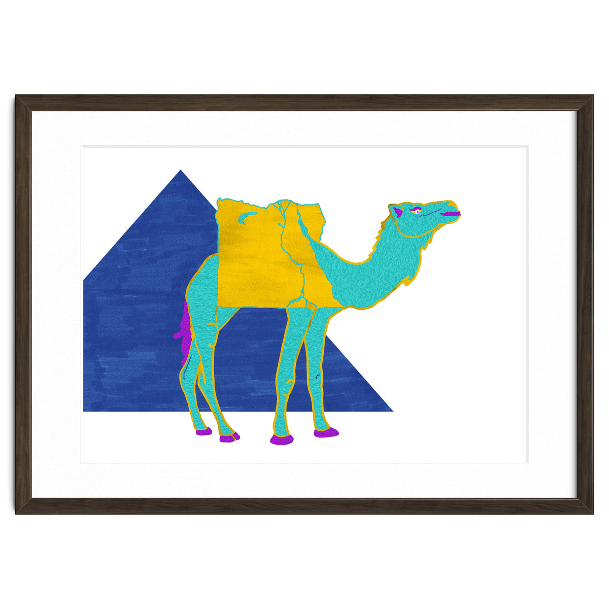 Egyptian Dromedary