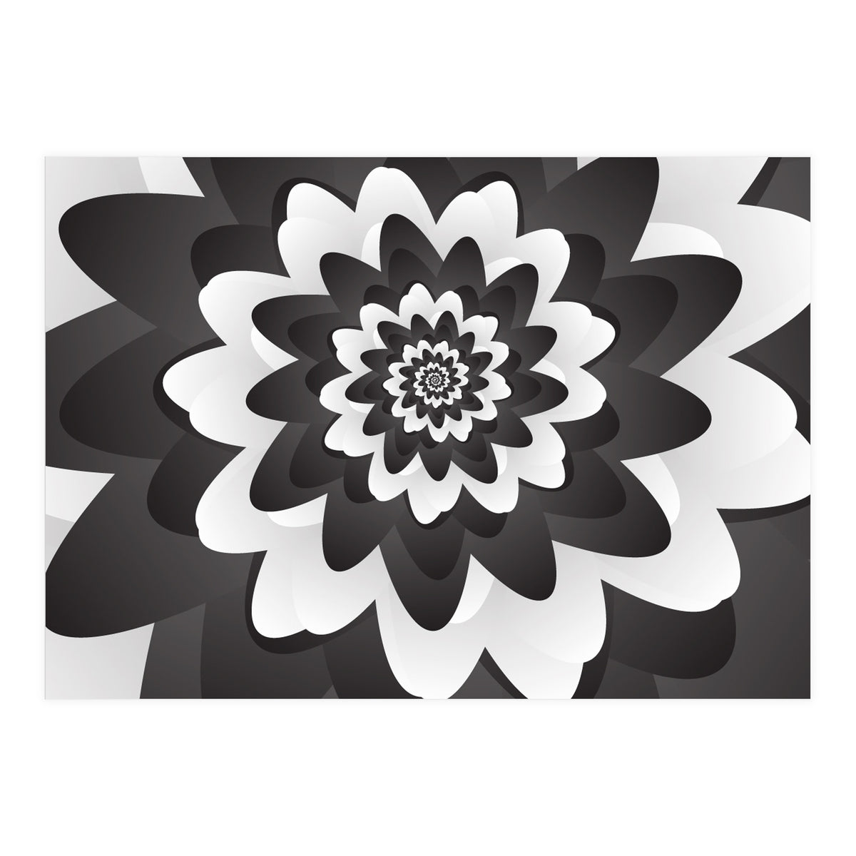 Mono Chrome Flower Spiral Pattern (Print Only)