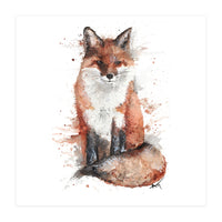 Fox - Wildlife Collection (Print Only)
