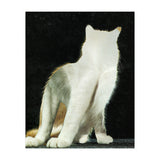 KatzenJammer 11 (Print Only) thumbnail
