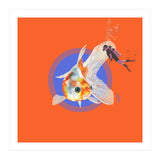 Koi Carp N Diver (Print Only) thumbnail