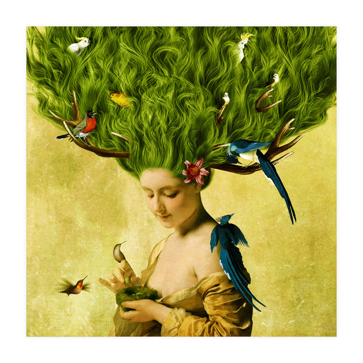 Safe Haven (Print Only)