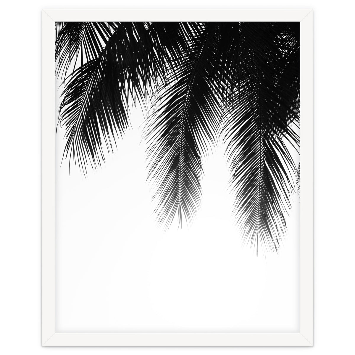 Palm leaves