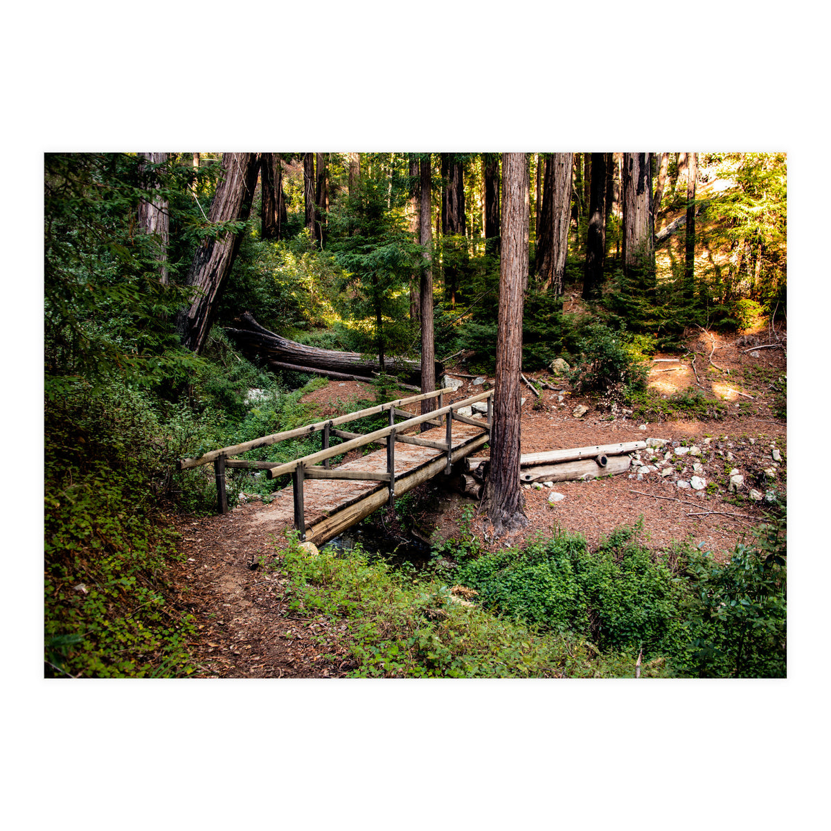 Ewoldsen Loop Bridge (Print Only)