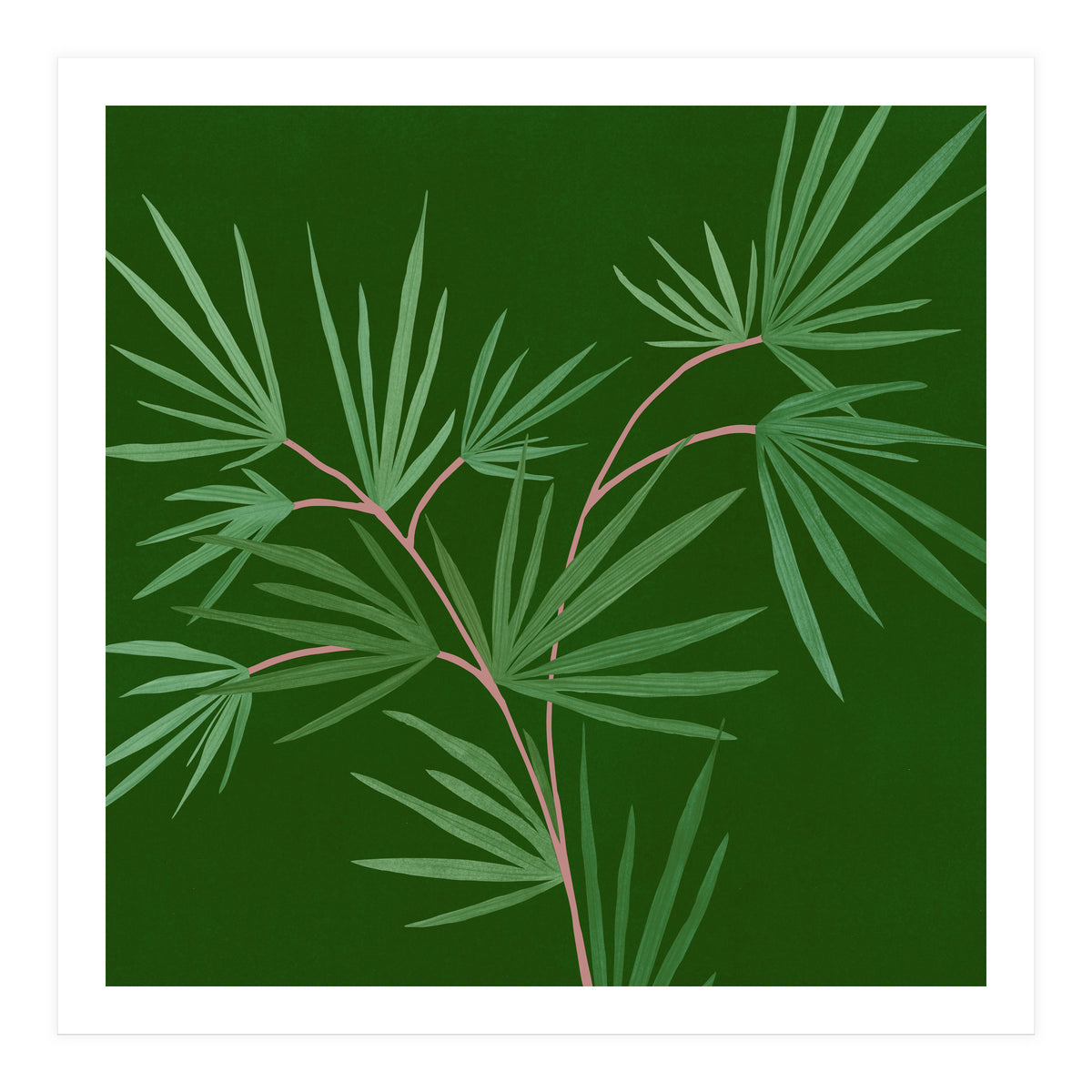 Abstract Palm (Print Only)