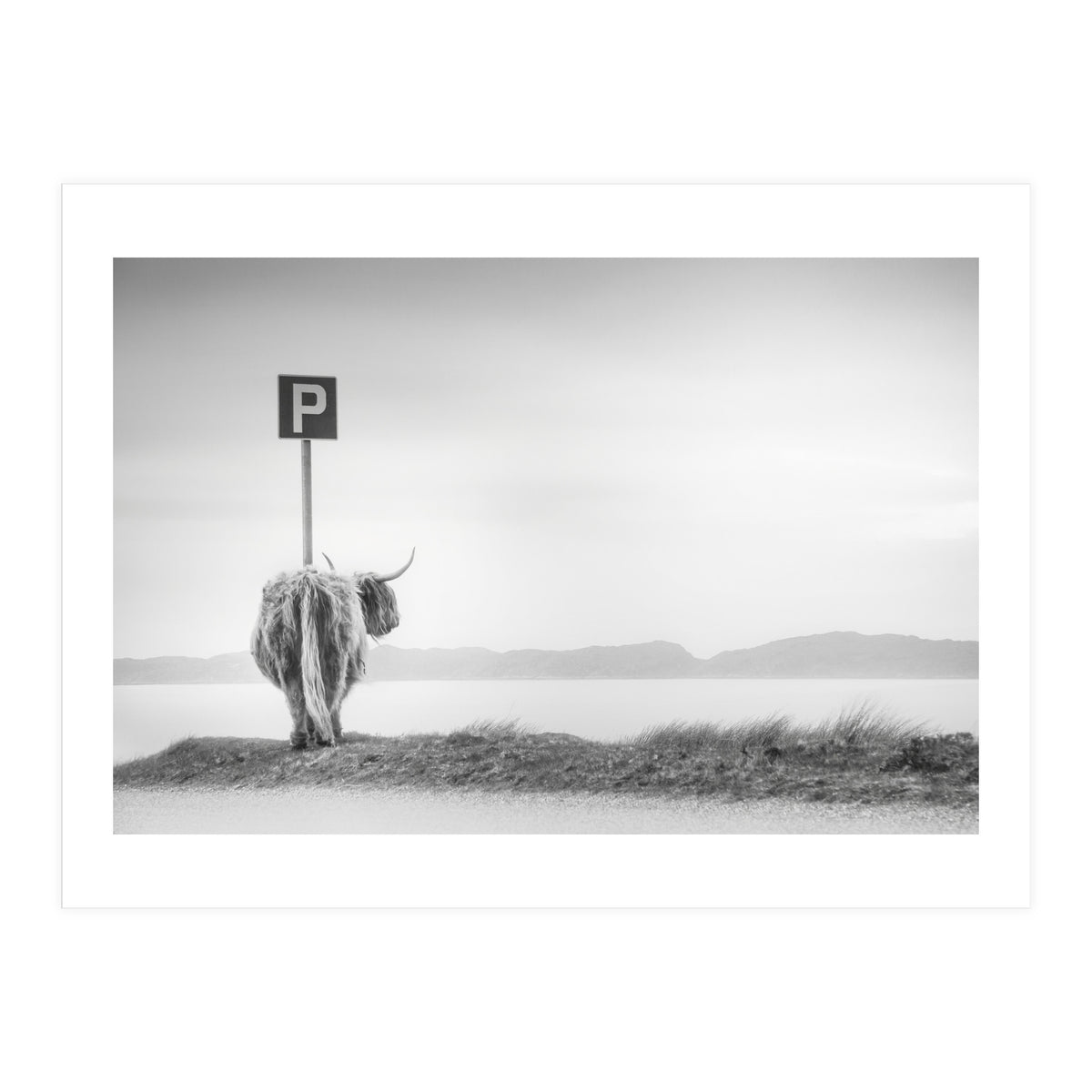 Highland Visitor (Print Only)