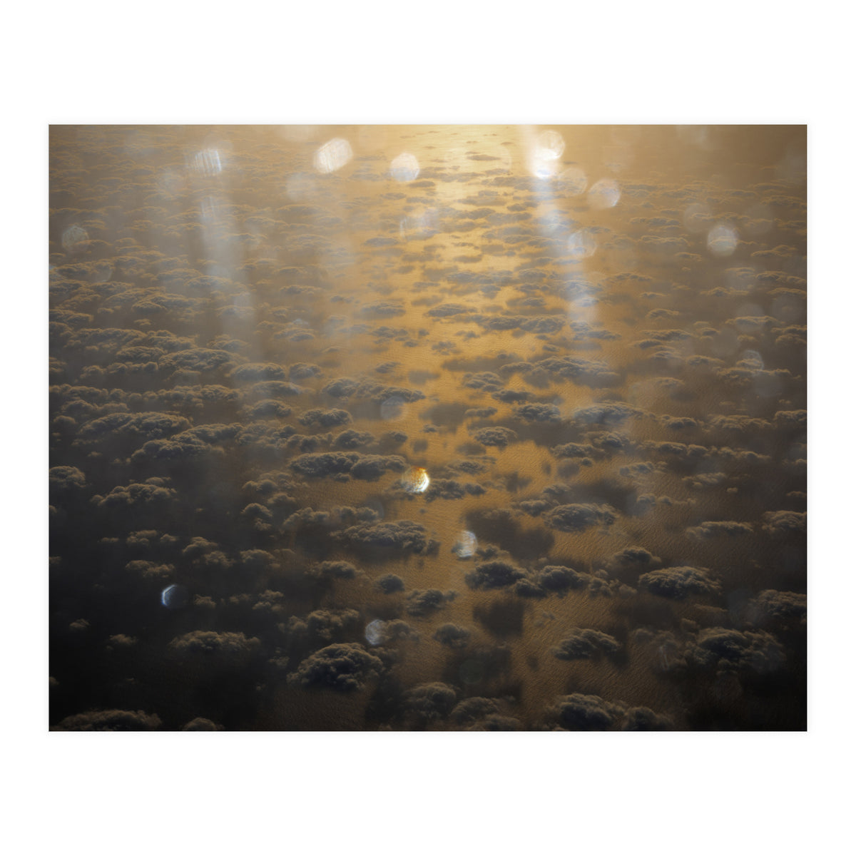 Rise & Shine (Print Only)