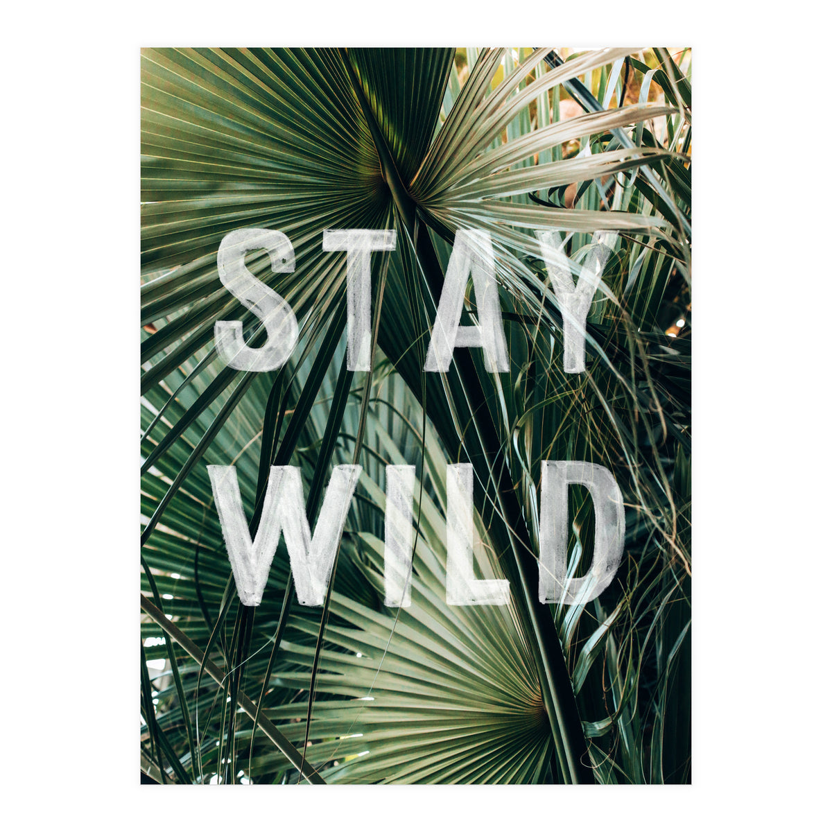 Stay Wild  (Print Only)
