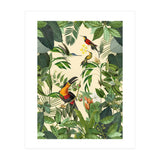 Green Jungle Toucans (Print Only) thumbnail