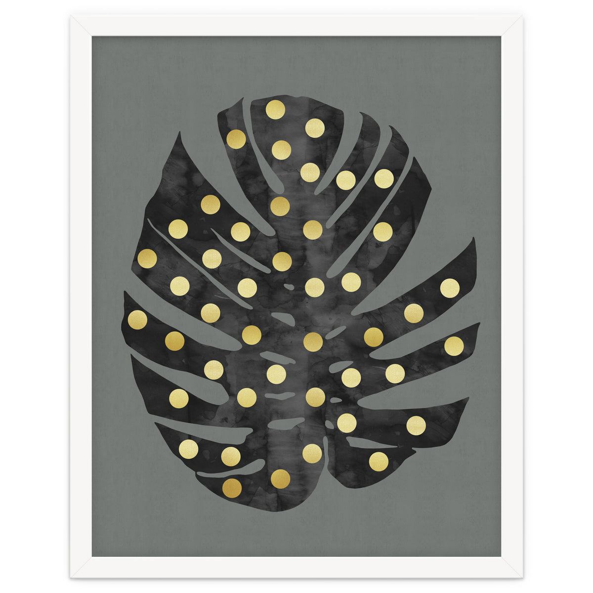 Monstera Deliciosa V