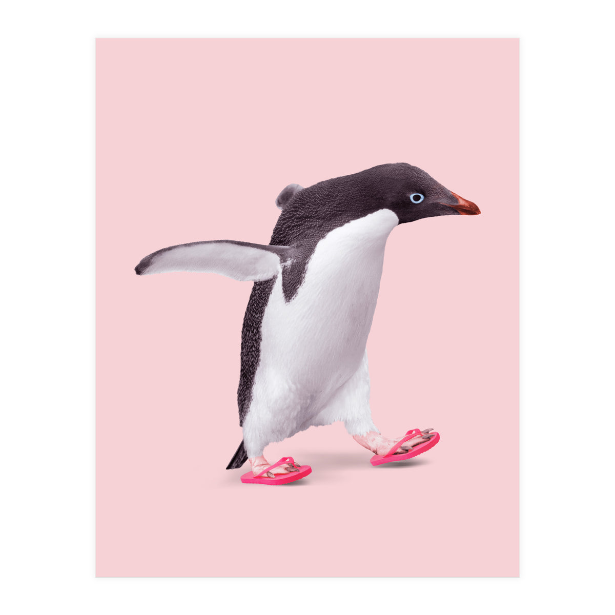 Flip Flop Penguin (Print Only)
