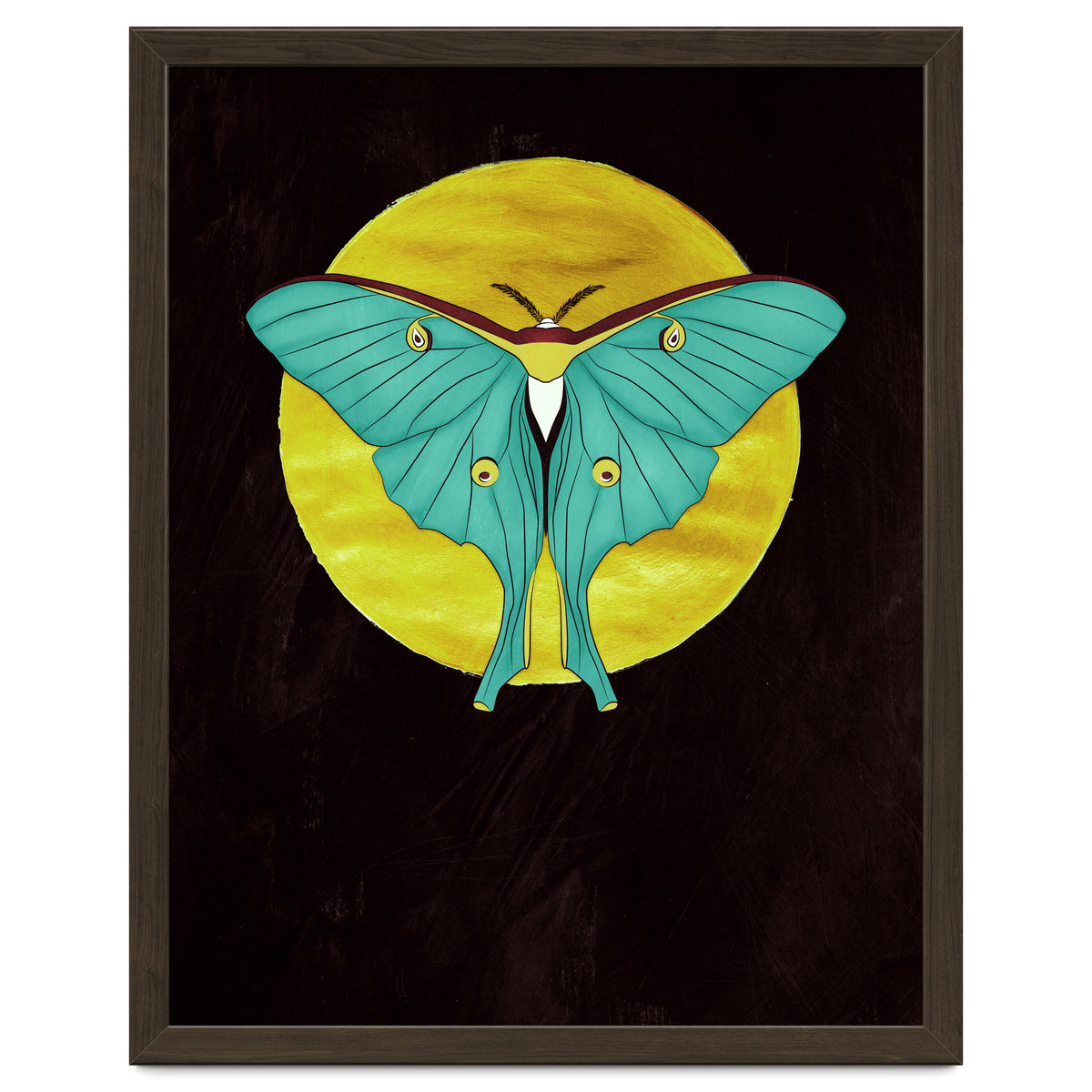 Luna Moth Moon
