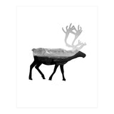 30 (Print Only) thumbnail