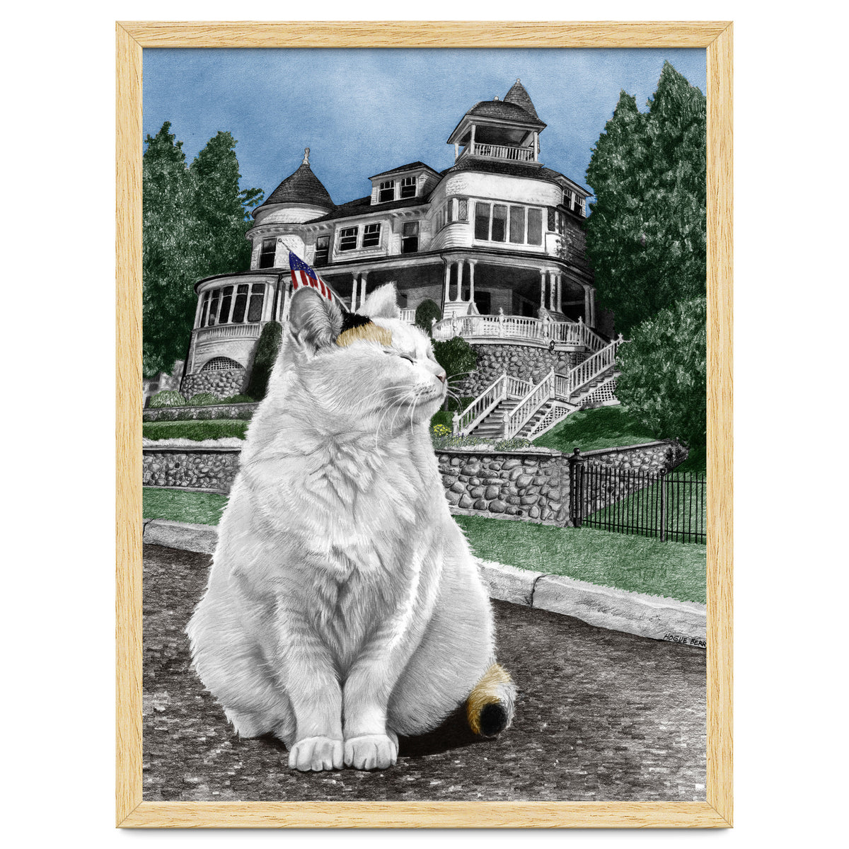 Mackinac Island Cat