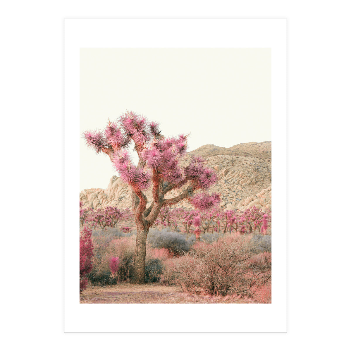 Boho Joshua Tree Cactus (Print Only)