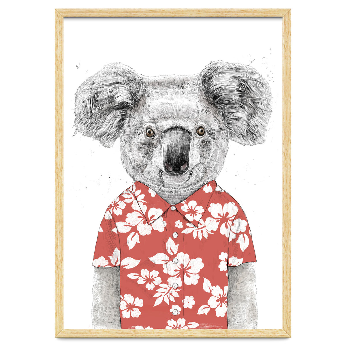 Summer Koala