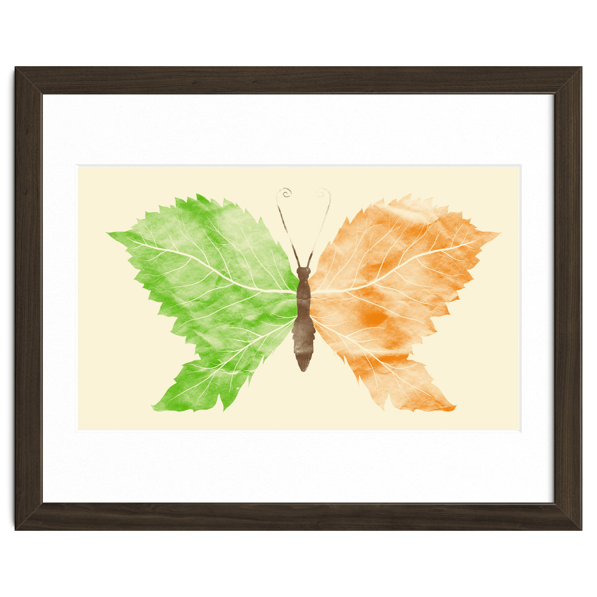 Seasons Change Time Flies