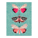Lepidoptery Study No. 6 (Print Only) thumbnail