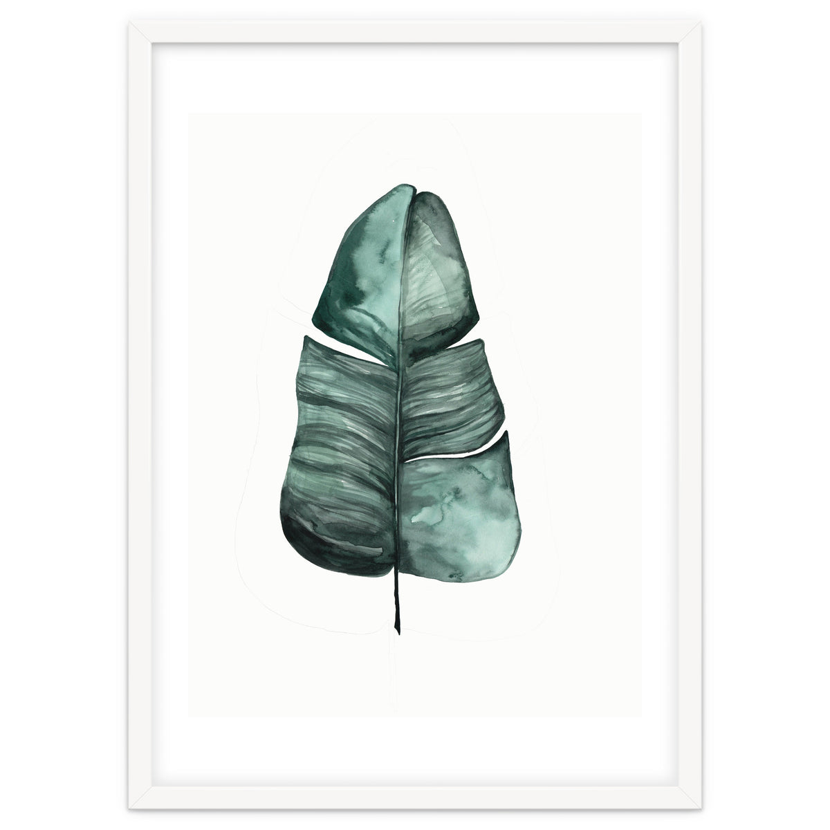 Botanical Illustration Banana Leaf