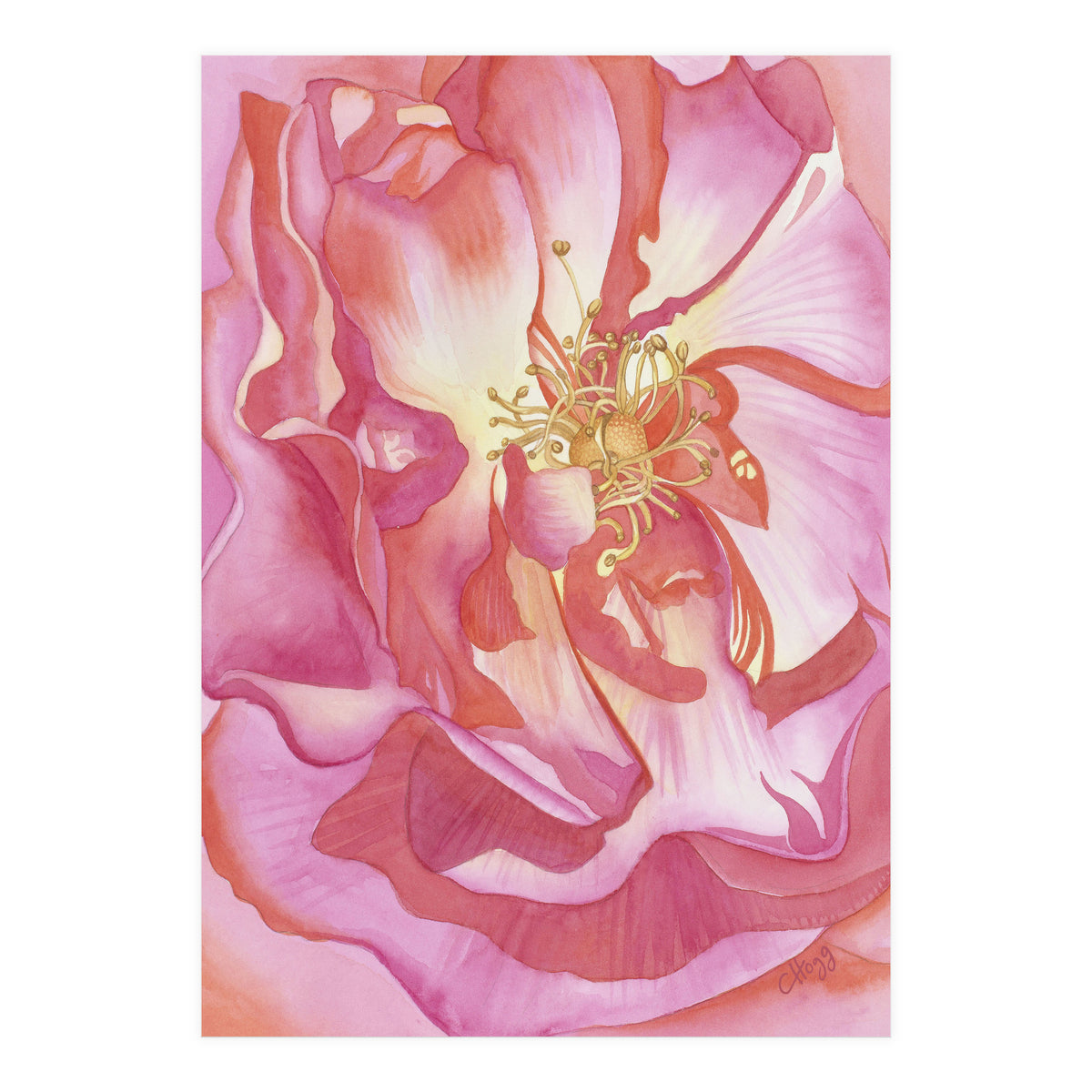 Love Is A Rose (Print Only)