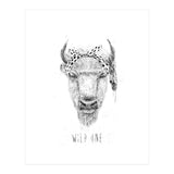 Wild One (Print Only) thumbnail