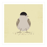 Blackcap 2 (Print Only) thumbnail
