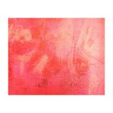 Claim (Print Only) thumbnail