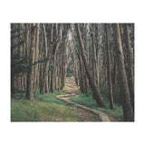 The Wood Line II (Print Only) thumbnail