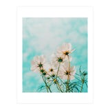 Fiona (Print Only) thumbnail