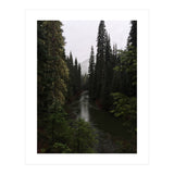 Evergreen State (Print Only) thumbnail