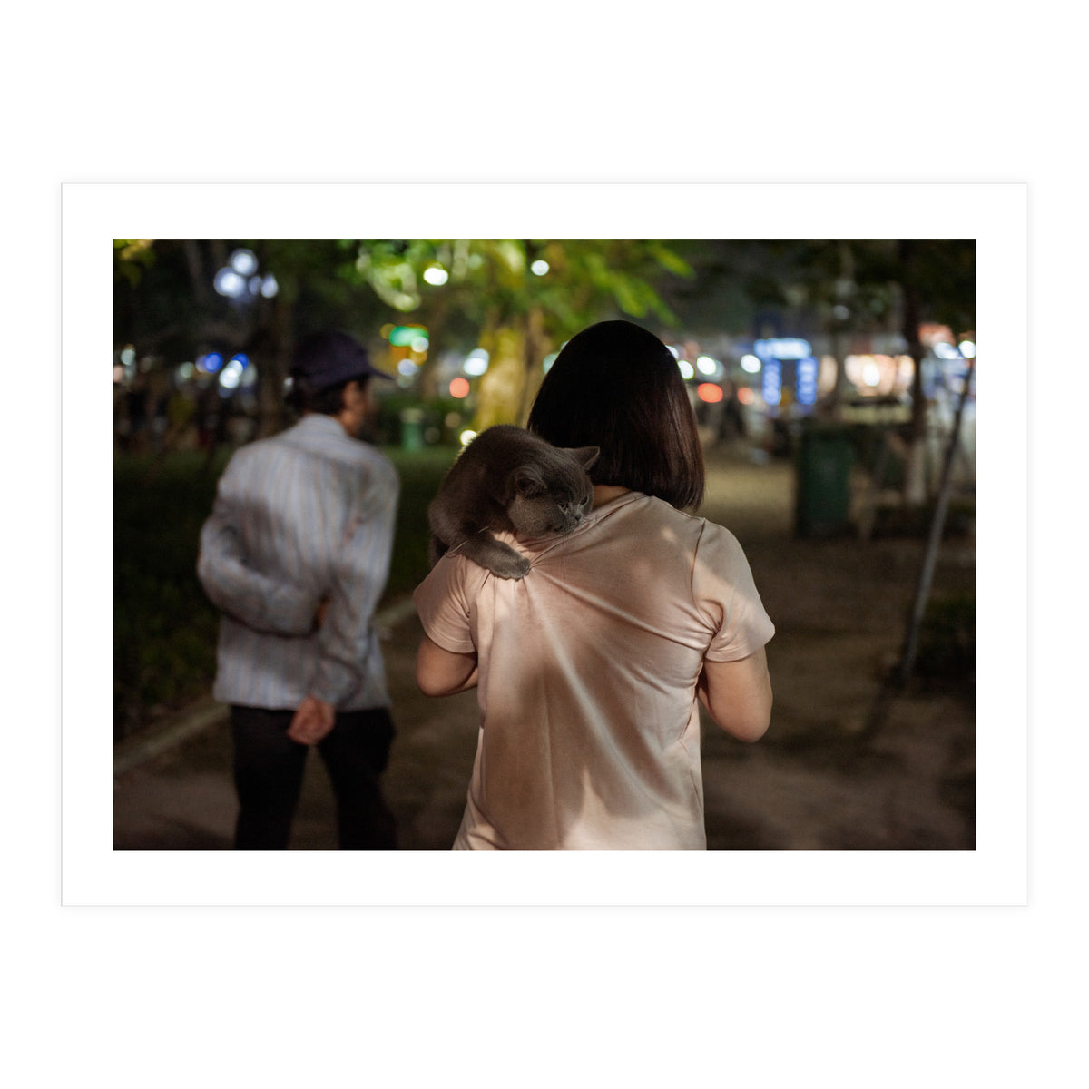 Cats of Vietnam (Print Only)